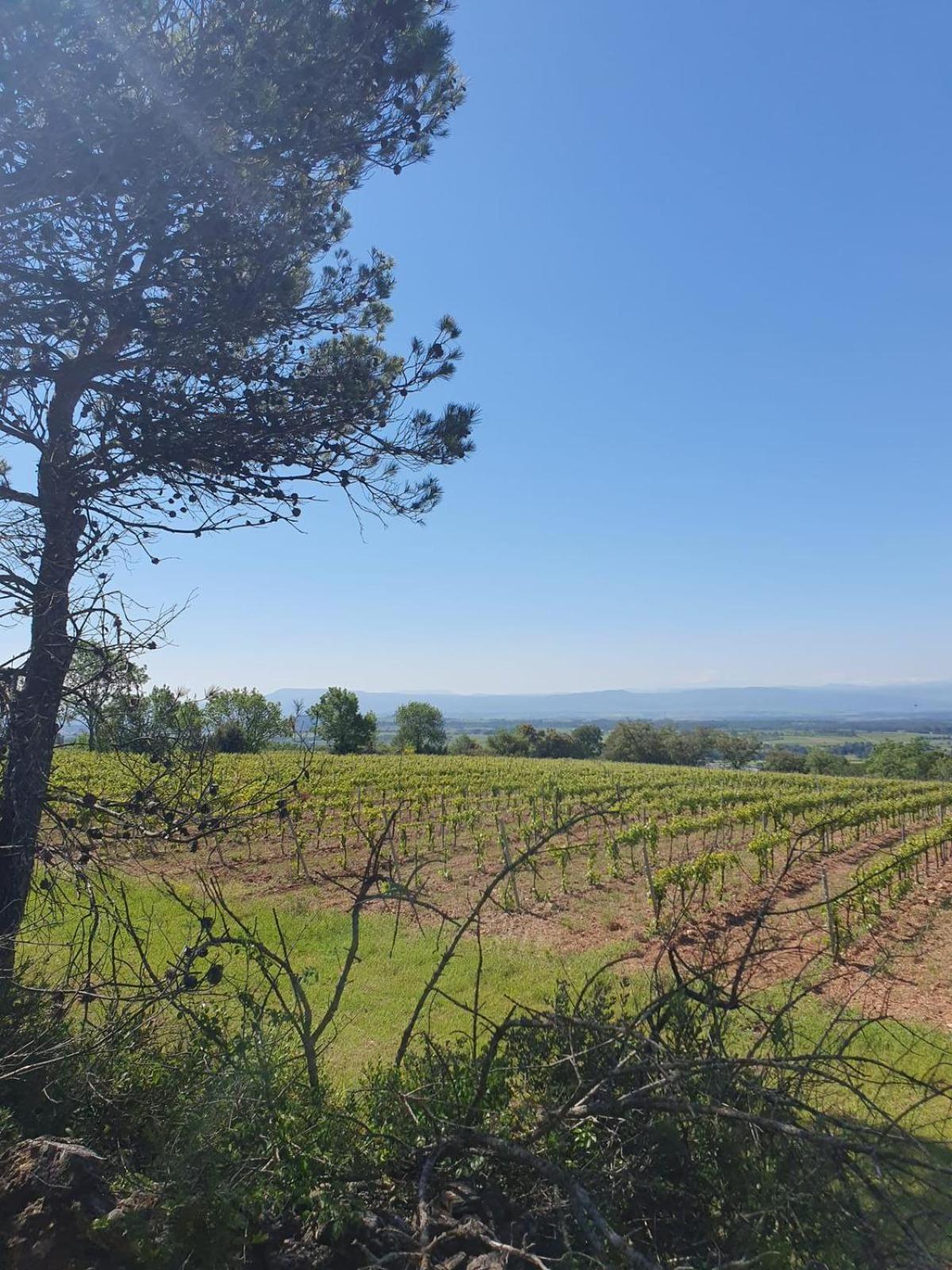 Maison De Charme Caunes-Minervois 외부 사진